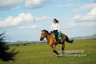 骑马的视频,骑马视频中的速度与激情