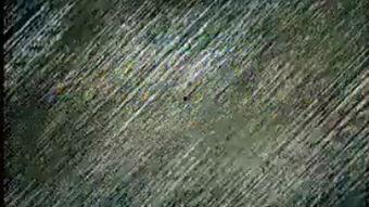 陈巧蓓视频,揭秘成功背后的奋斗与智慧