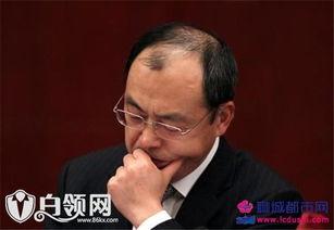 云南省长阮成发视频,深度解读云南发展新篇章”