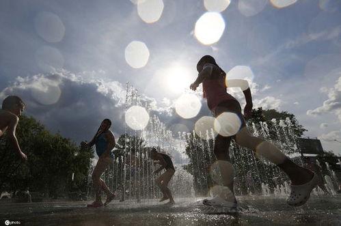 清凉的视频,探寻夏日清凉秘境