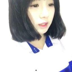 晶哥视频,探索科技与生活的完美融合