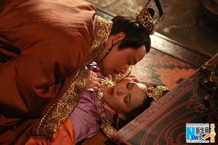 曹丕和伏皇后视频,宫廷权谋与情感纠葛的悲歌